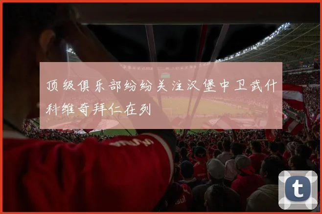 顶级俱乐部纷纷关注汉堡中卫武什科维奇拜仁在列