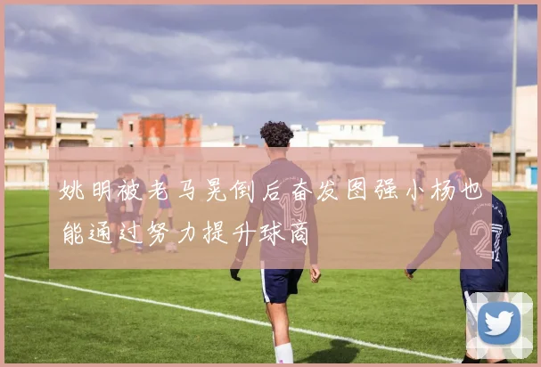 姚明被老马晃倒后奋发图强小杨也能通过努力提升球商