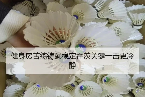 健身房苦练铸就稳定霍茨关键一击更冷静 | mksports