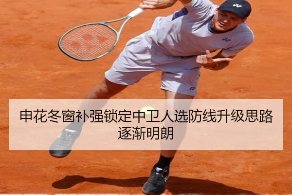 申花冬窗补强锁定中卫人选防线升级思路逐渐明朗 - mksports